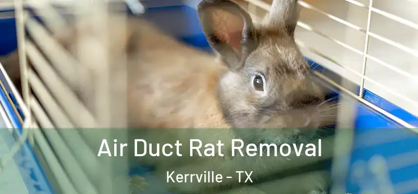  Air Duct Rat Removal Kerrville - TX