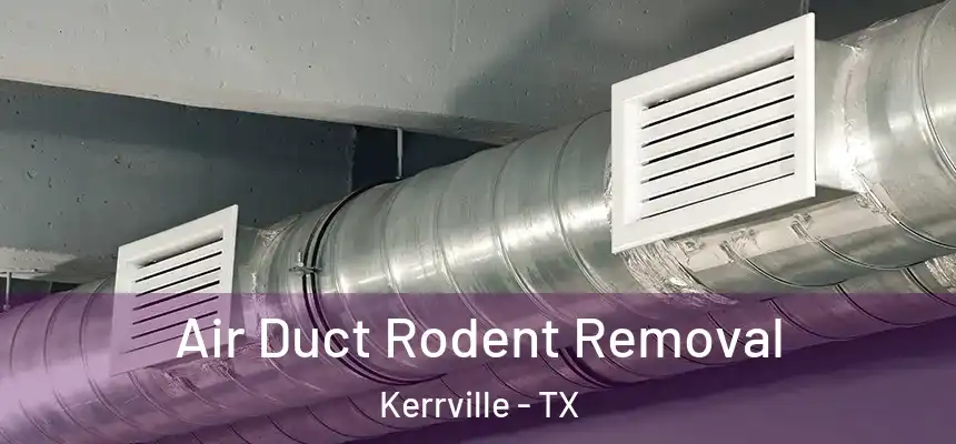 Air Duct Rodent Removal Kerrville - TX