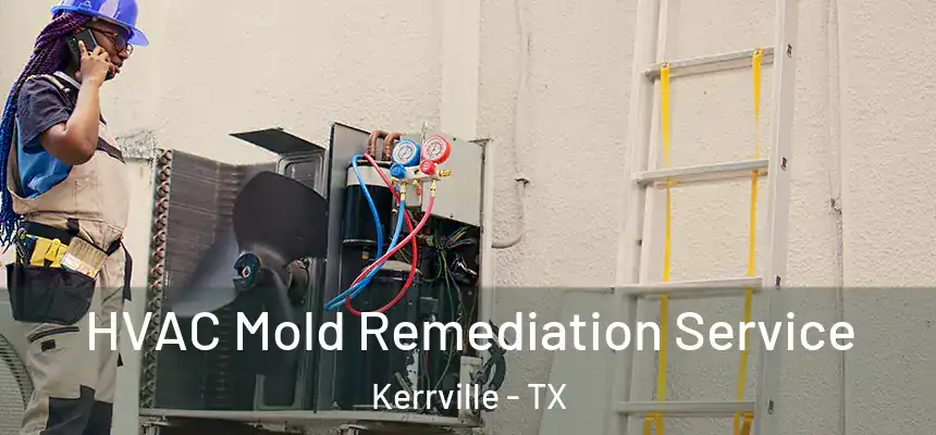  HVAC Mold Remediation Service Kerrville - TX