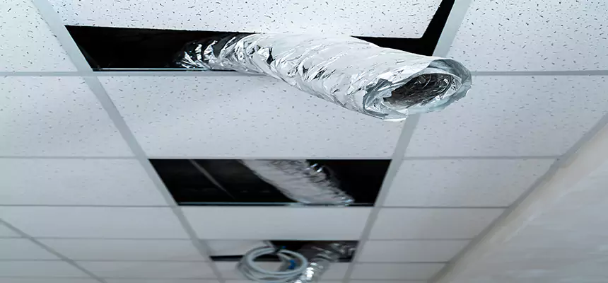 Affordable HVAC Sanitizing After Pest Removal in Kerrville