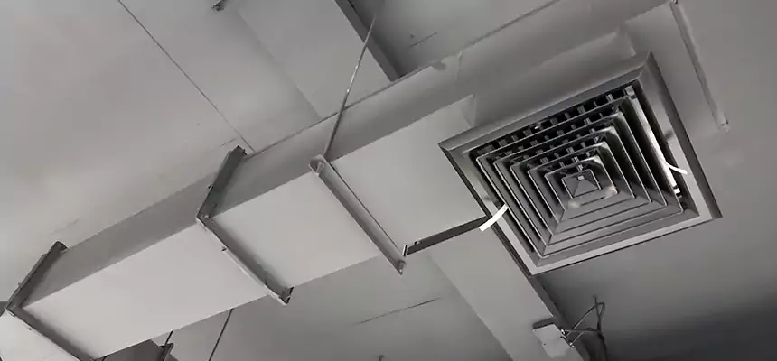 Our Rodent Droppings In Vents Services in Kerrville, TX