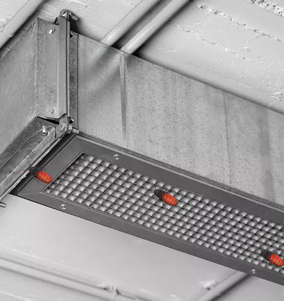 About Air Duct Cockroach Removal in Kerrville, TX
