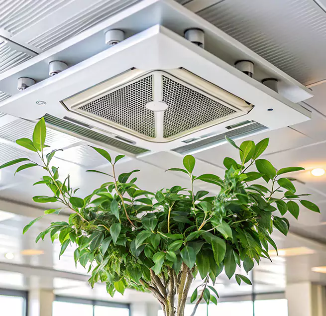 Why Homeowners & Businesses Trust Us in Kerrville, TX?